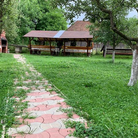 Vila Mogan Hotel Moieciu de Jos Ngoại thất bức ảnh