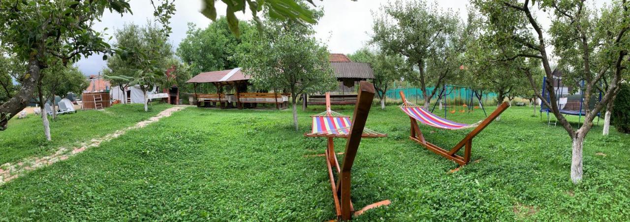 Vila Mogan Hotel Moieciu de Jos Ngoại thất bức ảnh